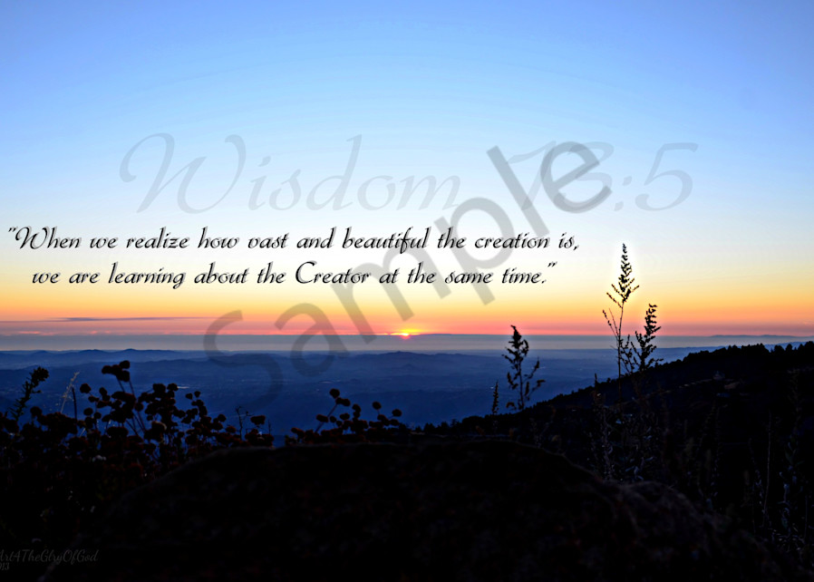 "Creator" - Wisdom 13:5