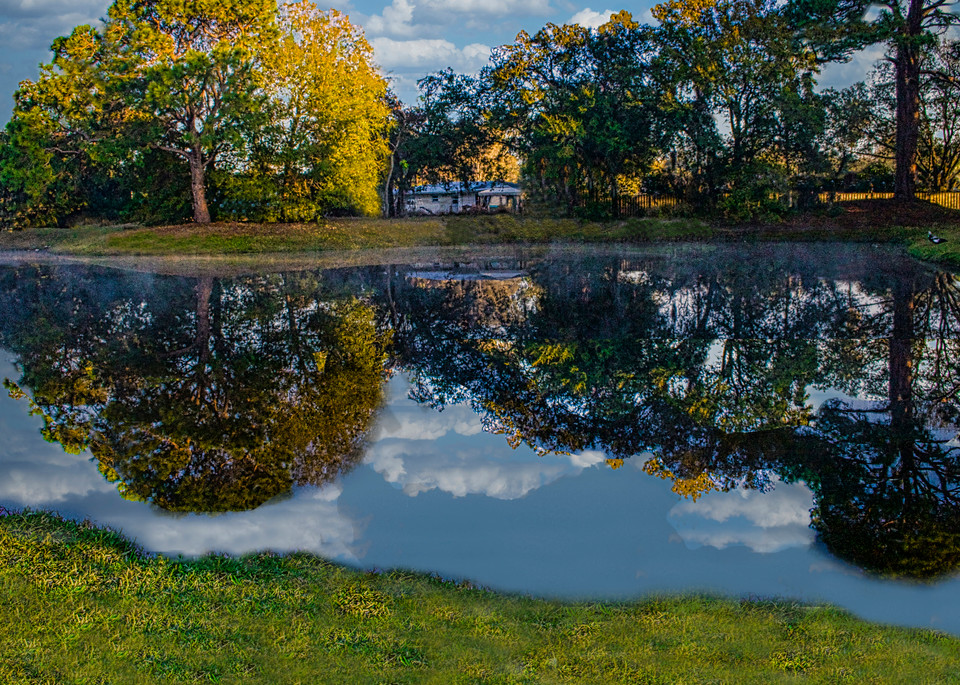 Reflected view of Pond at Sarasota Springs