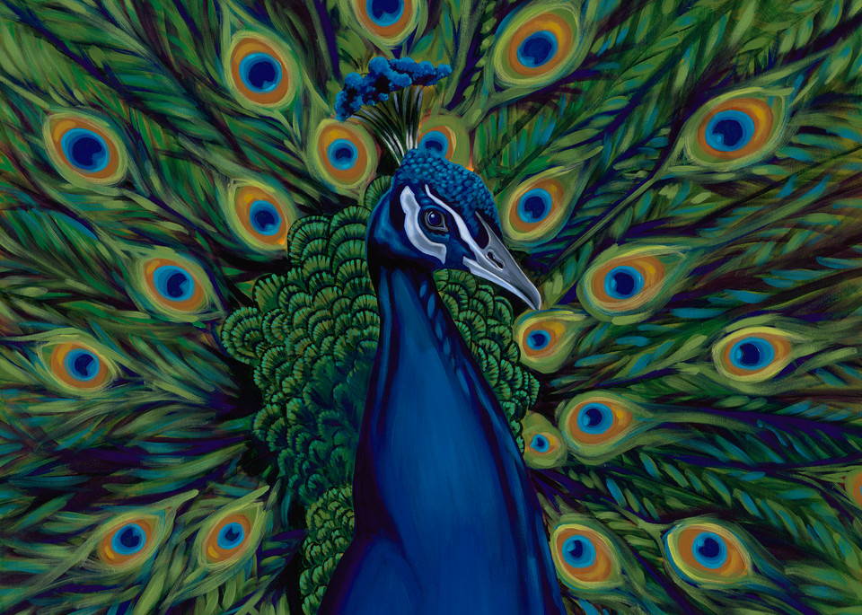 Colorful paintings of peacocks by Texas artist, John R. Lowery available as art prints.