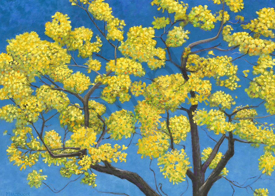 Jacaranda Tree   Art | Al Marcenkus Art, LLC