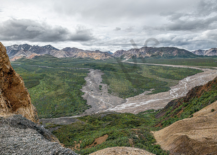 Soaring With The Eagles In Denali Art | Photography By Festine