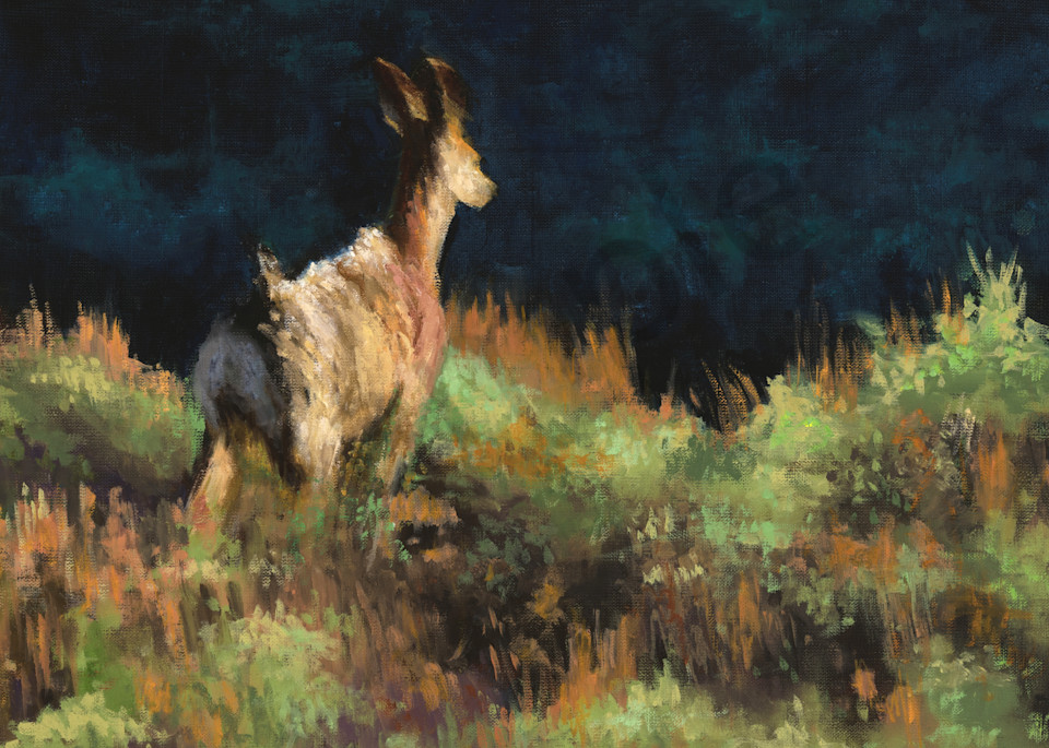 Deer On The Run Art | Andria Sullivan Artworks