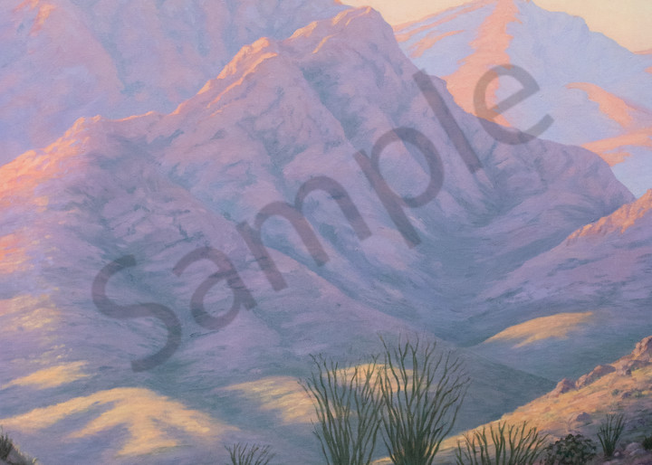 Spring Desert Morning Art | Terry Sauve Fine Art 
