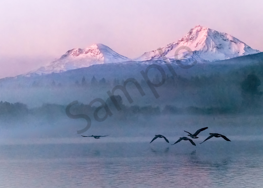 Lake Phalarope foggy lake at Sunrise with flying geese|Barb Gonzalez Photography