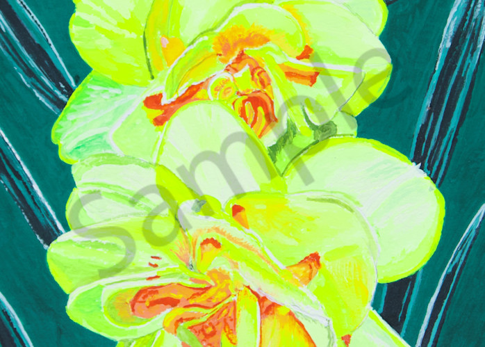Print   Yellow Beauties Art | Francine's Fine Art, a division of Gibel and Associates Ltd.