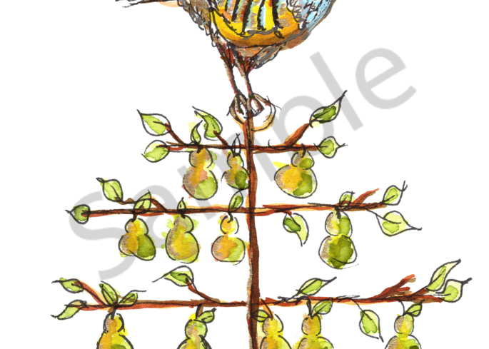 Partridge in a Pear Tree Wall Art and Merchandise