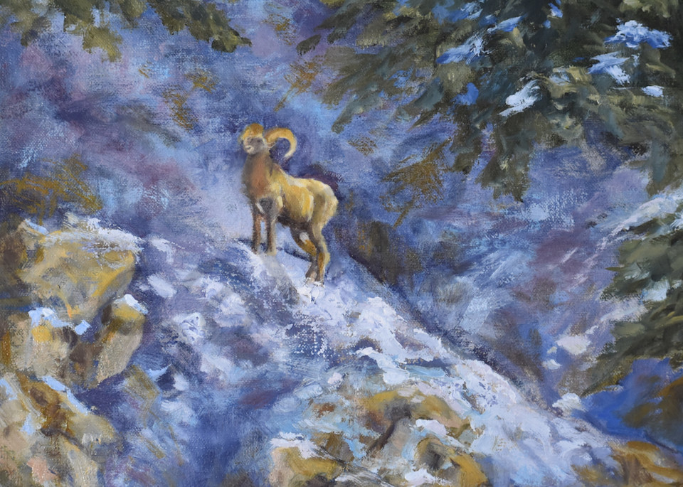 Colorado Mountain Goat Oil Painting By Debbie clay