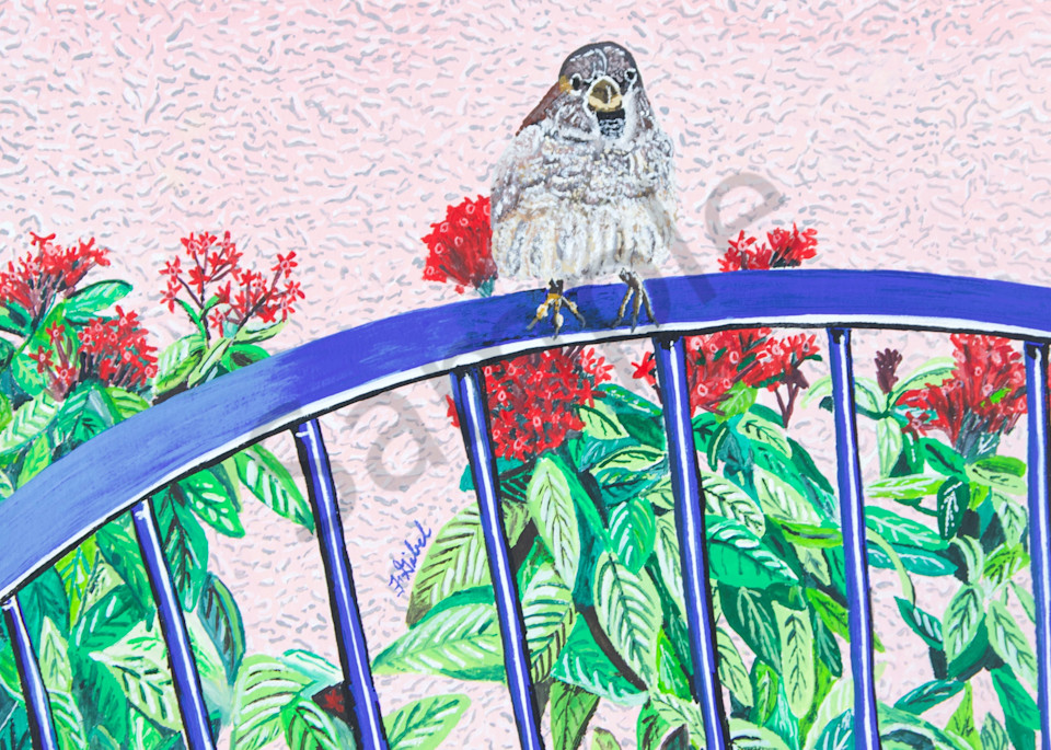 Print   The Visiting Bird Art | Francine's Fine Art, a division of Gibel and Associates Ltd.