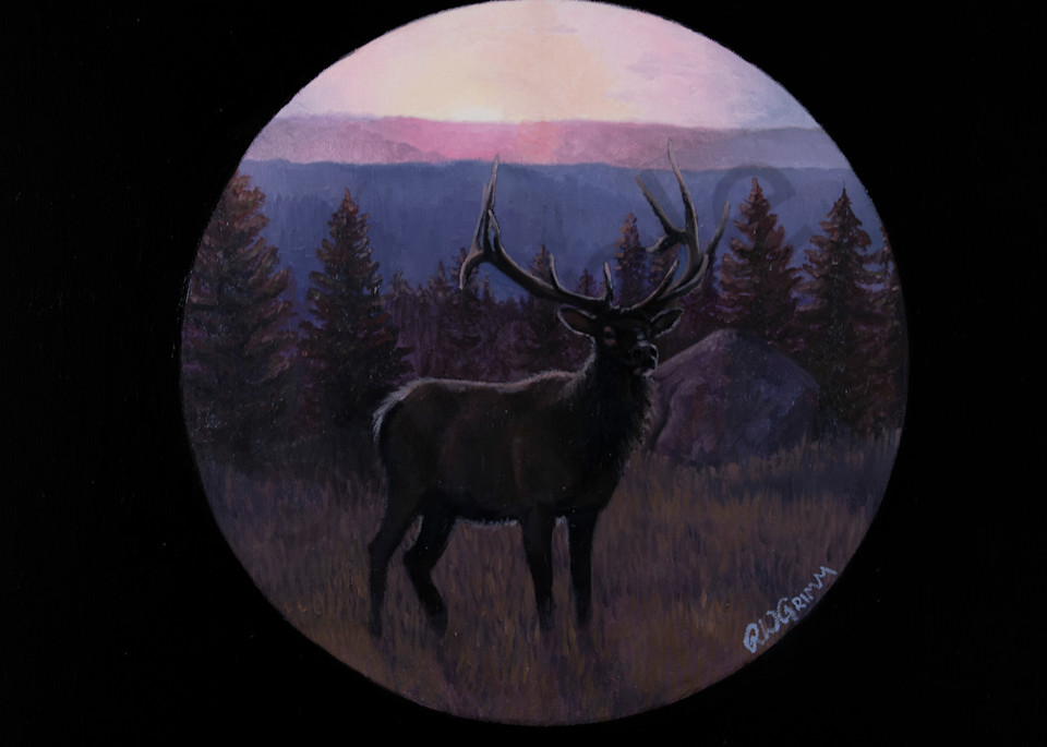 Elk by Rochelle W. Grimm