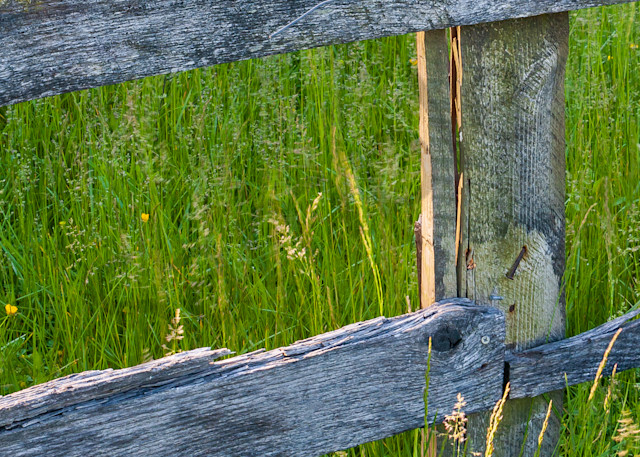 Countryside Wall Art: Old Wood Fence