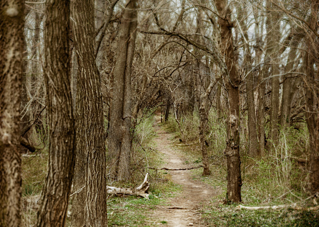 Mystery Path