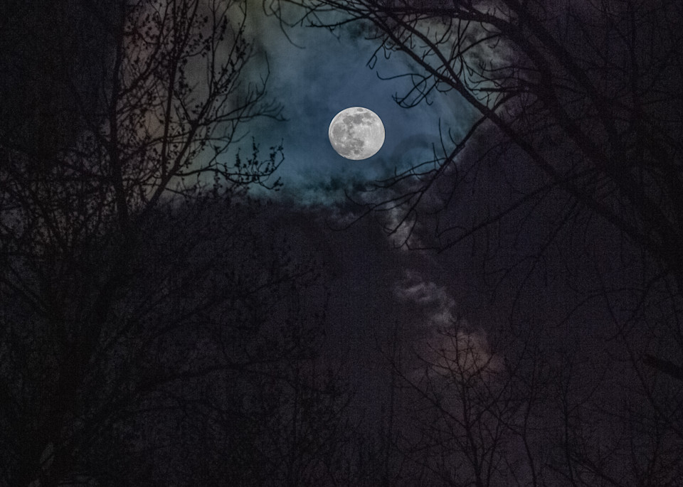Spring Moon Photography Art | Kim Bova Photography