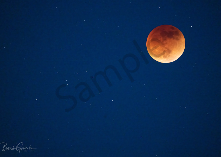 Blood Moon Eclipse Photography Art | Barb Gonzalez Photography