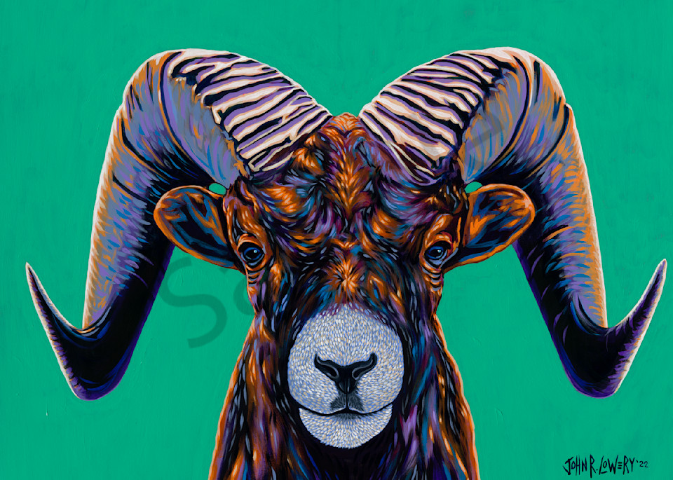Colorful paintings featuring Colorado animals such as Rams,  by John R Lowery sold as art prints.