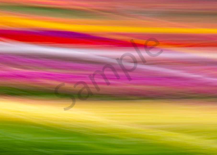 Chroma Field Abstract 1 photograph