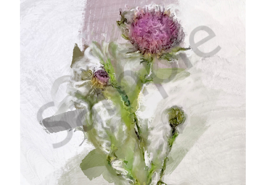 Purple Artichoke Blossom Art | Carolyn Allen
