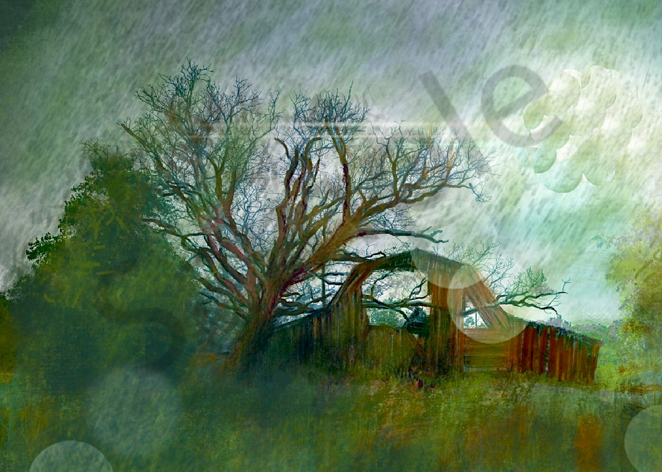 Weathered Barn Art | Carolyn Allen