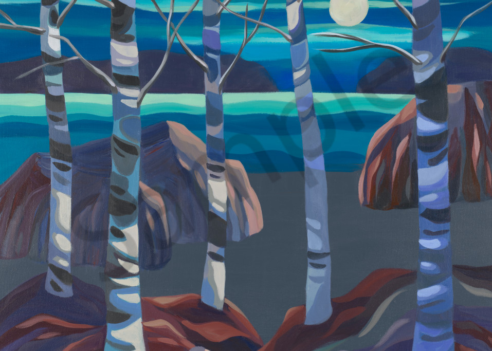 Evening Birches 2 Art | Jodie Blaney Fine Art