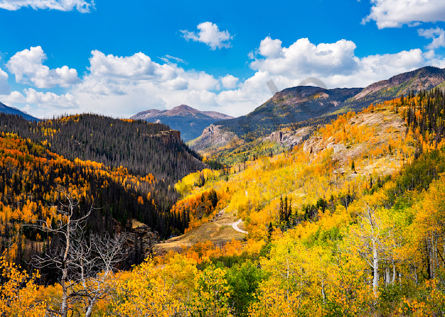 2686 Creede, Co Art | Cunningham Gallery