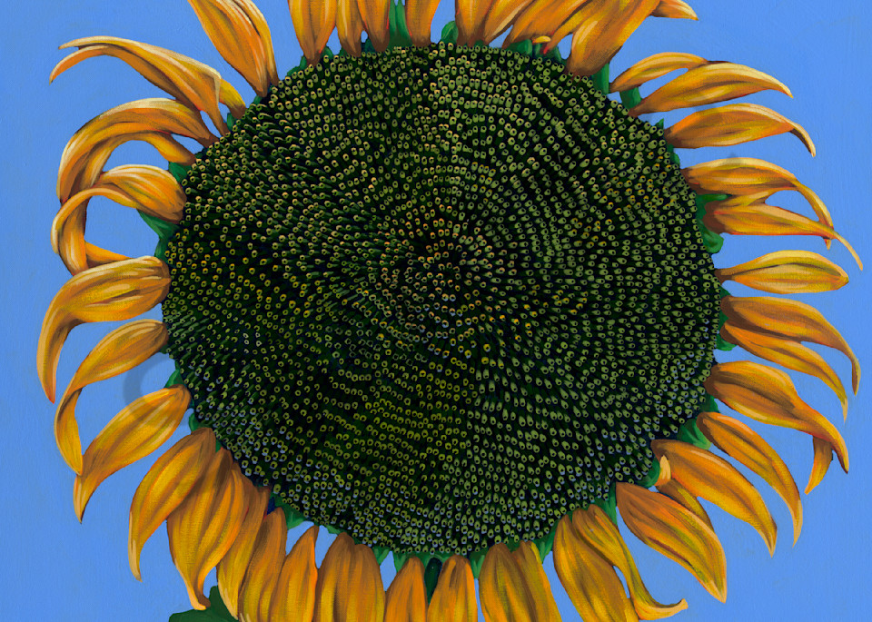 Sunflower paintings by John R. Lowery for sale as art prints.