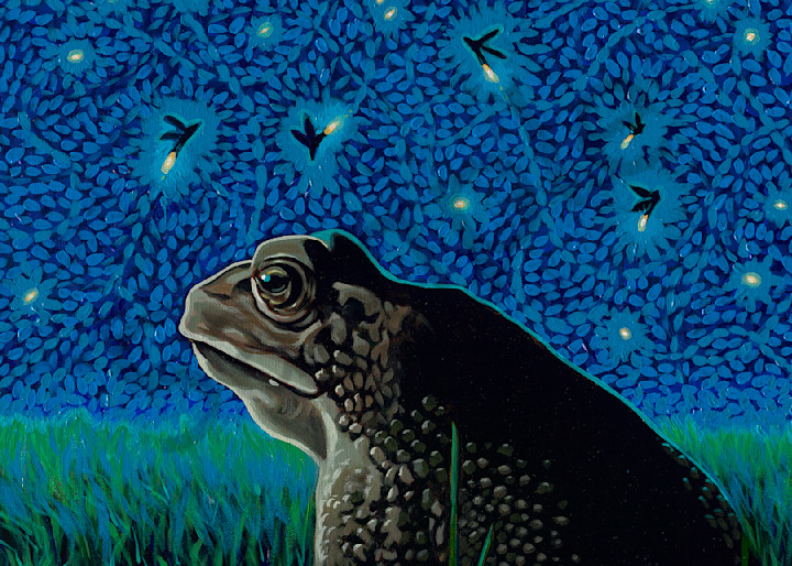 Painting of a frog looking at fireflies by John R. Lowery, available as art prints.