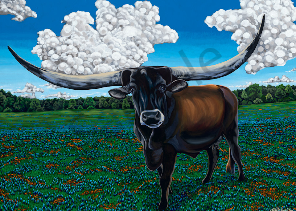 Cow, longhorn and Texas wildflower paintings by John R. Lowery, for purchase as art prints.