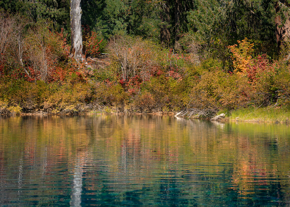 Clear Lake Blue Waters And Fall Bushes Photography Art | Barb Gonzalez Photography