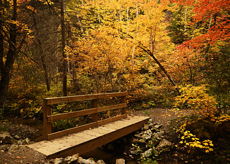 Bridge To Autumn Art | LHR Images