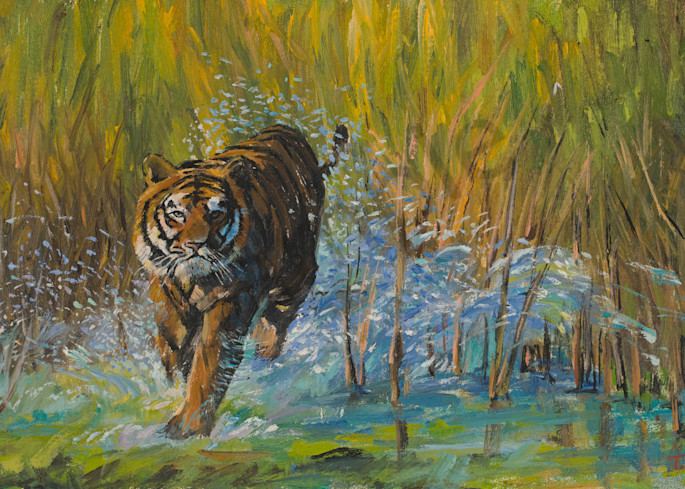 Running Tiger Art | Ted Garcia Fine Art