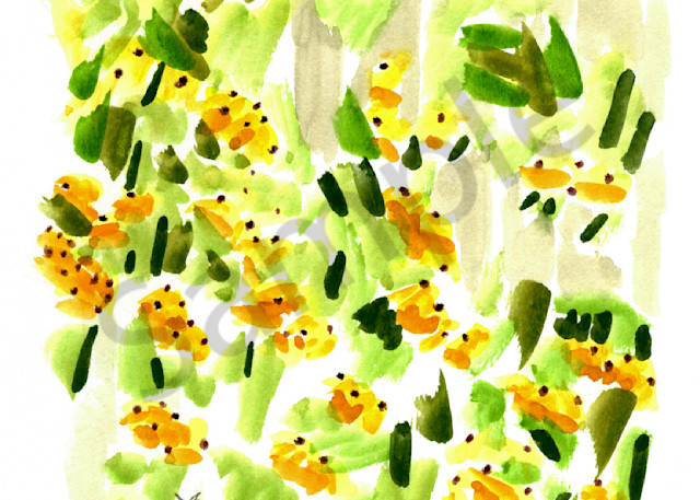 Black Eyed Susans in the Artist Garden Watercolor 2022 Marie Stephens Art