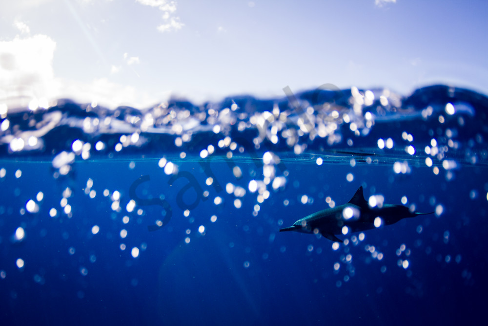 Surf Photography | Bubbly Blue by Doug Falter