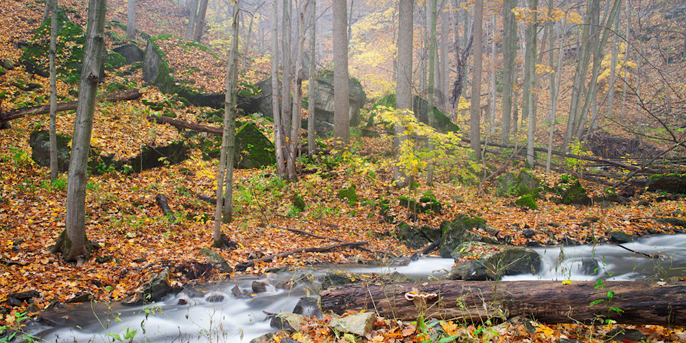 A River Runs Through