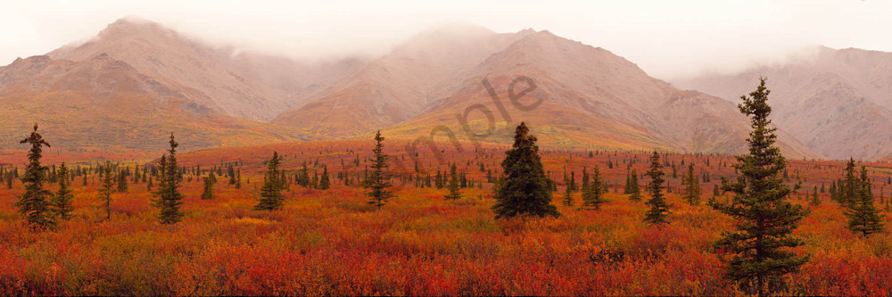 Autumn Alaska Photography Art | Scott Cordner Photography