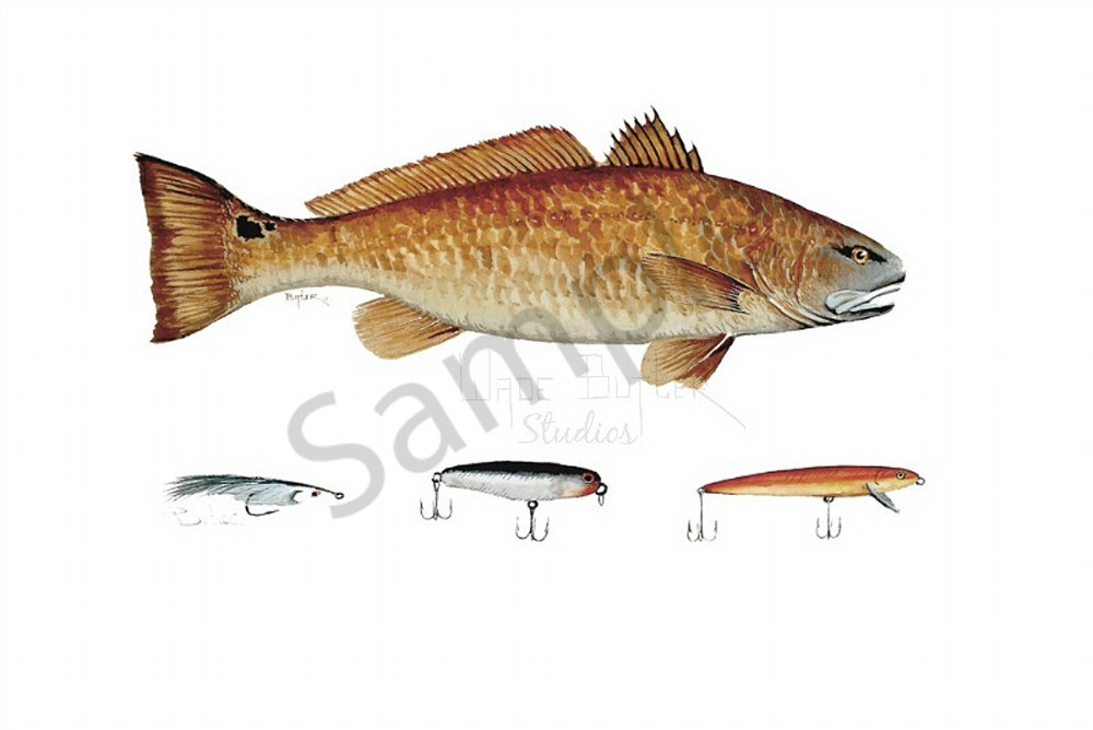 Redfish With Lures Art