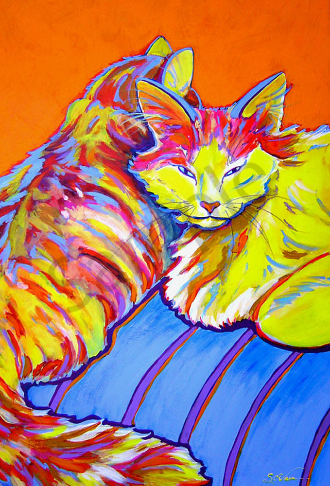 Cat Naps Art | Sally C. Evans Fine Art