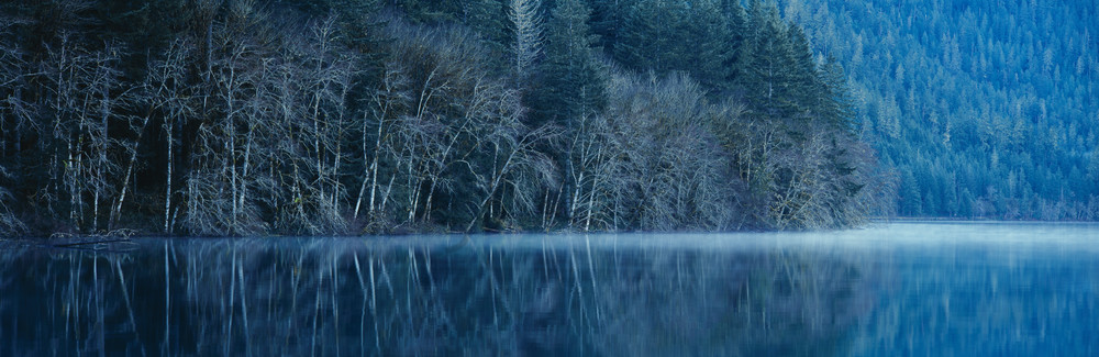 Fine art print of a forest reflecting into Crescent Lake on a misty morning, Olympic National Park, WA