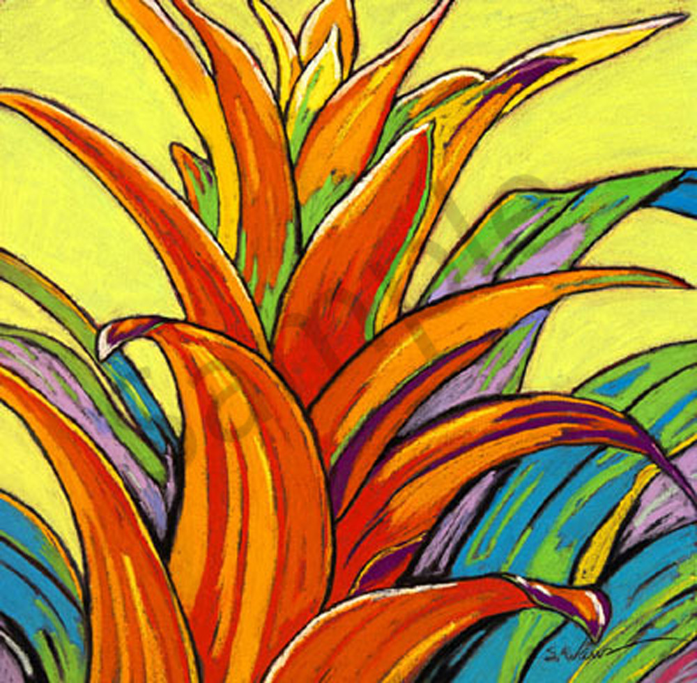 Orange Bromeliad Art | Sally C. Evans Fine Art