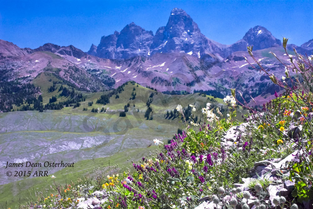 Image Photography Art | Swan Valley Photo