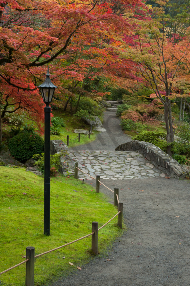 Fall colors and path, Japanese Garden, Seattle