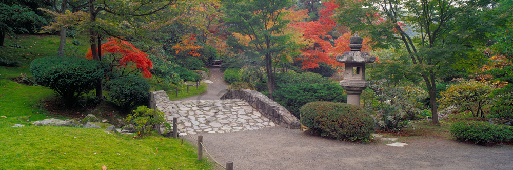 Fall colors, Japanese Garden, Washington Arboretum, Seattle, WA