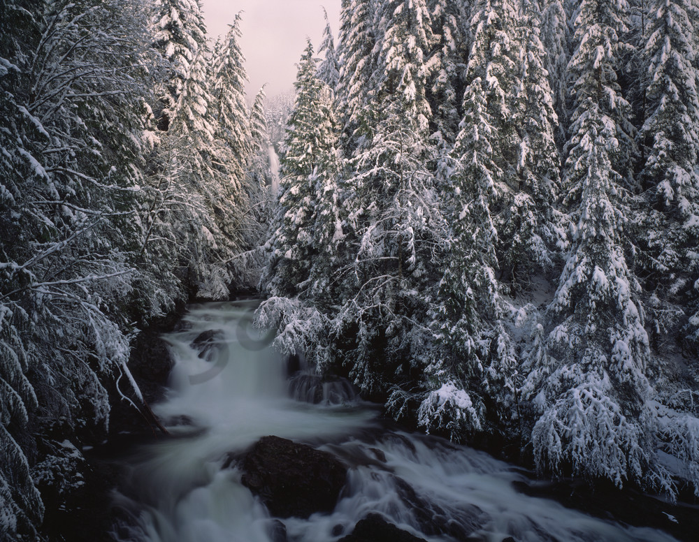 Scenic Wallace Falls surrounded by a snow covered forest