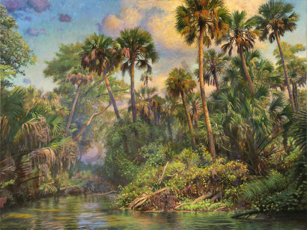 Palm Jungle Art | Sally C. Evans Fine Art