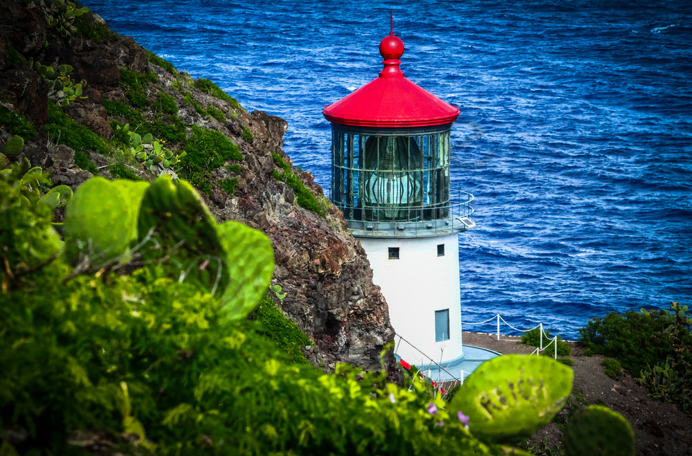 Hawaii Photography  |  Little Red Top Hat by Shane Myers