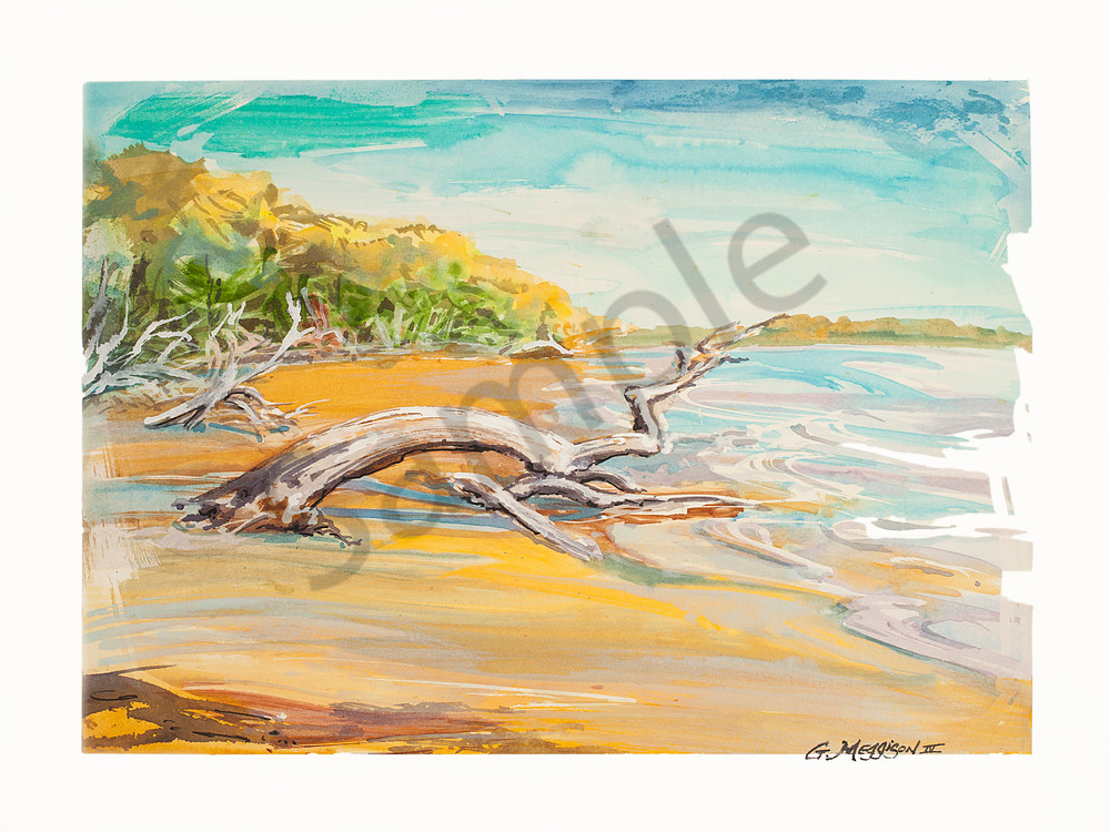 Talbot Fantasy Watercolor Landscapes Gordon Meggison Iv