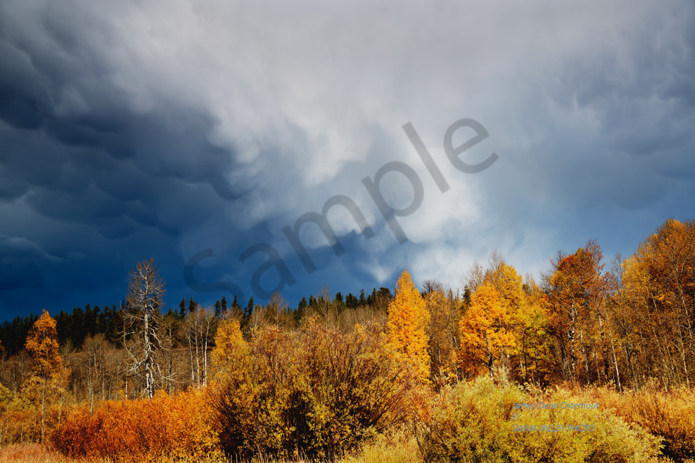 Storm At Oxbow Photography Art | Swan Valley Photo