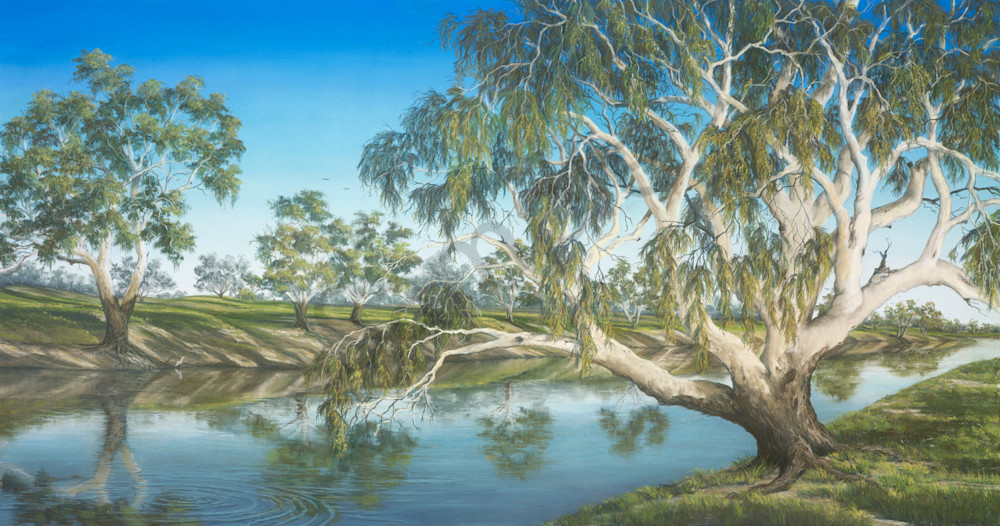 Darling River Peace by Jenny Greentree
