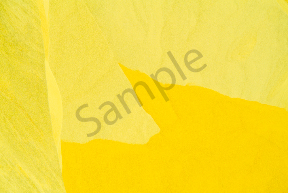 Yellow-within-Gold