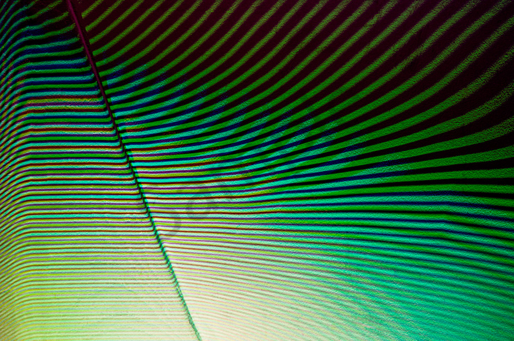 Moire #2