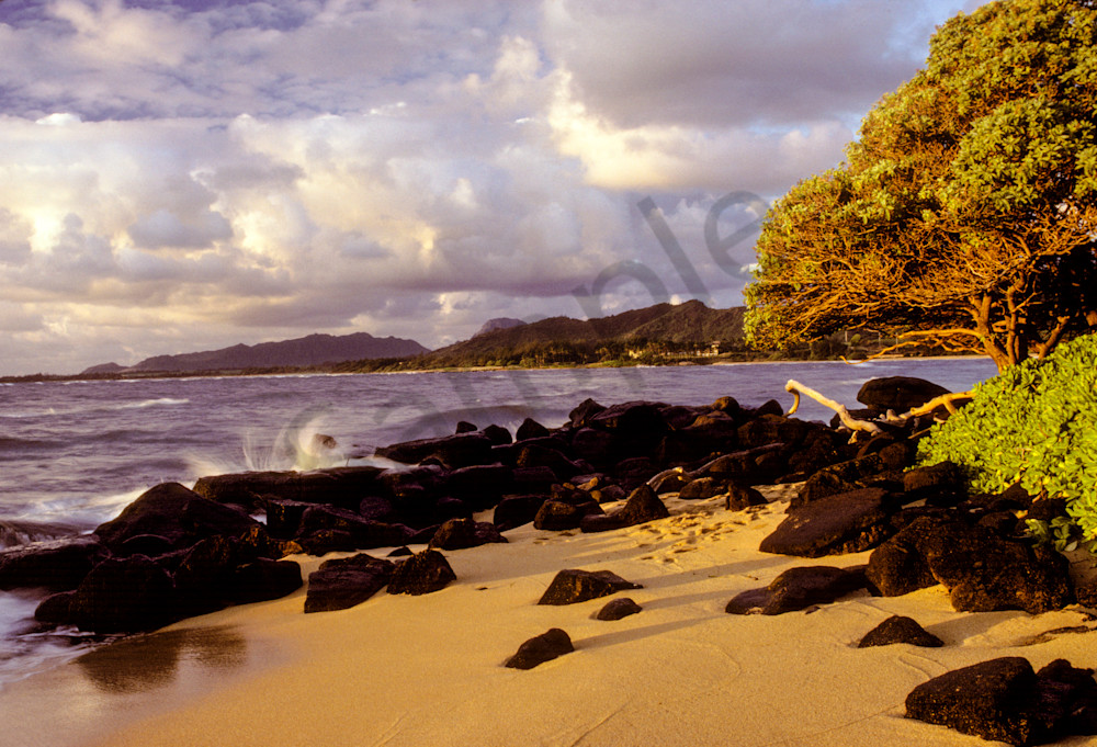 Kauai-Beach