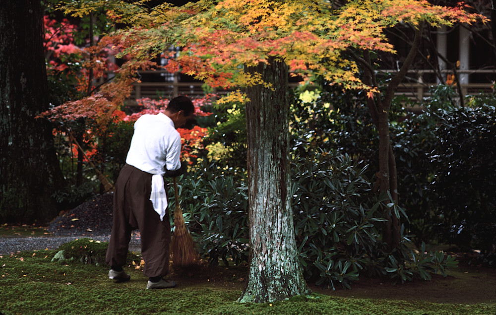Sanzen-in Temple gardens. Ohara, Japan